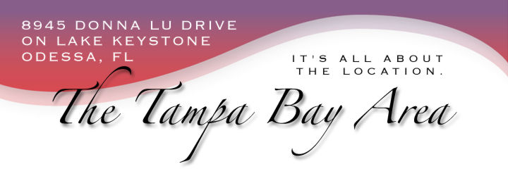 The Tampa Bay Area